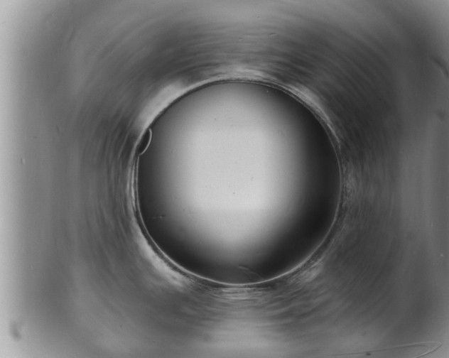 X0000102231391200808011215
