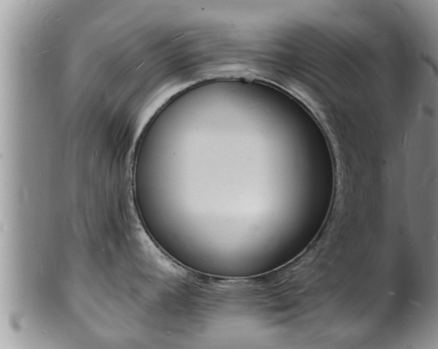 X0000102231392200808011215
