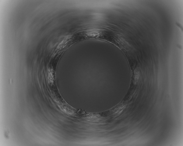 X0000102231394200808011214