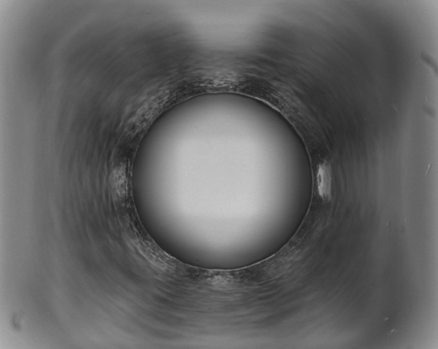 X0000102231395200808011214