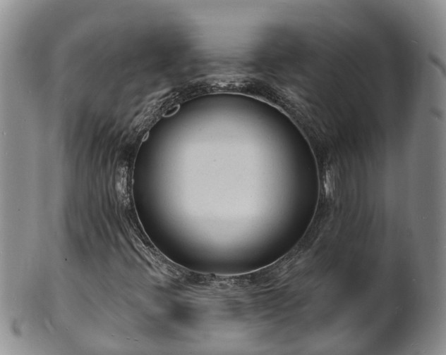 X0000102231396200808011214