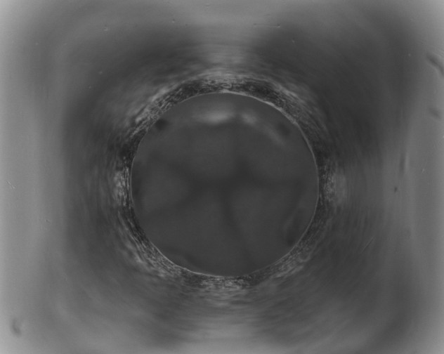 X0000102231397200808011214