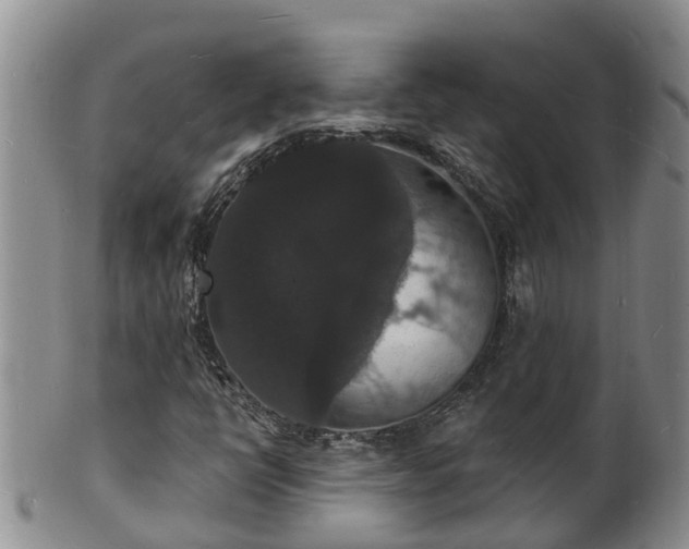 X0000102231398200808011214