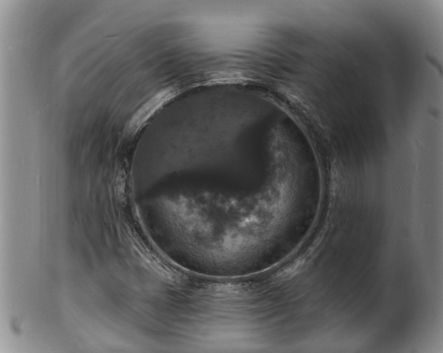 X0000102231401200808011214