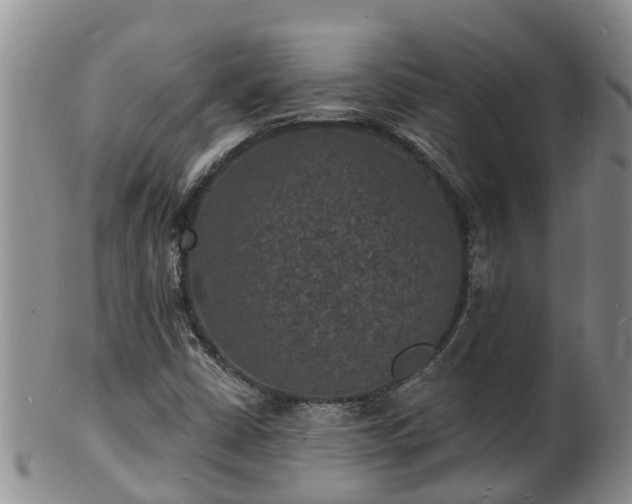 X0000102231402200808011214