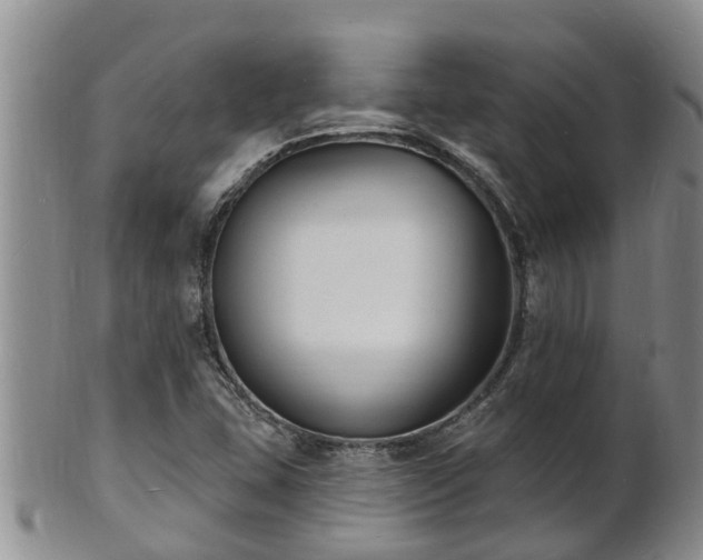 X0000102231407200808011214