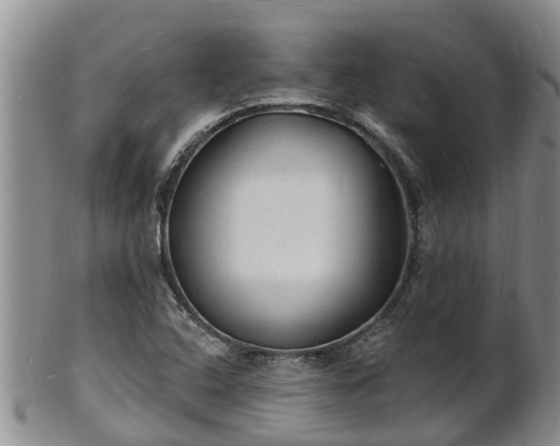 X0000102231408200808011215