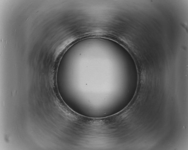 X0000102231410200808011215