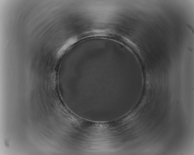 X0000102231411200808011215