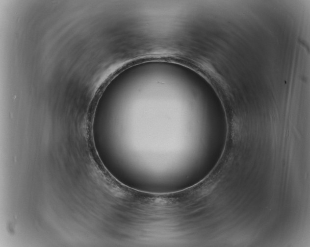 X0000102231412200808011215