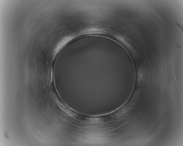 X0000102231413200808011215