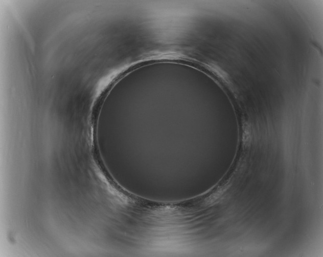X0000102231414200808011215