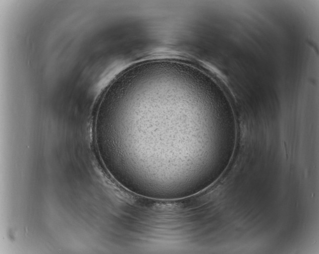 X0000102231415200808011215