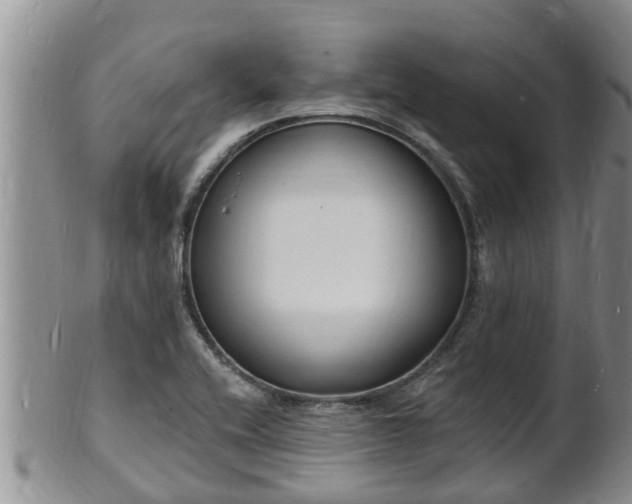 X0000102231416200808011215