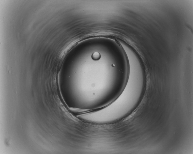 X0000102231417200808011215