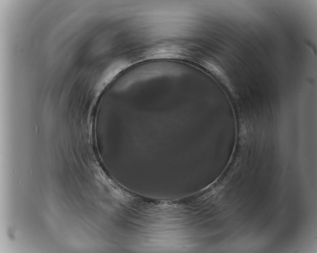 X0000102231419200808011215
