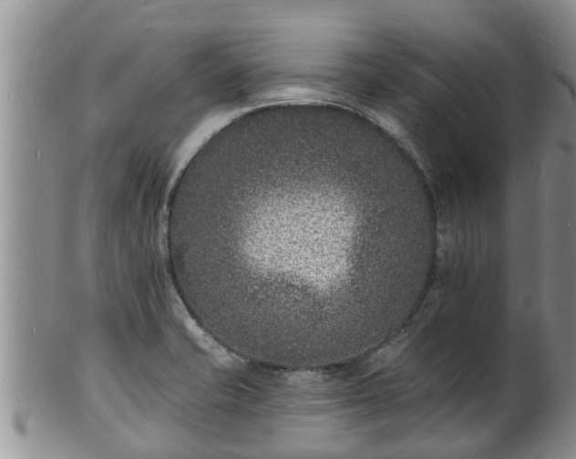 X0000102231421200808011215