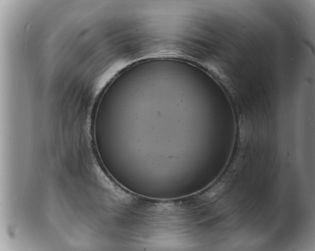 X0000102231422200808011215