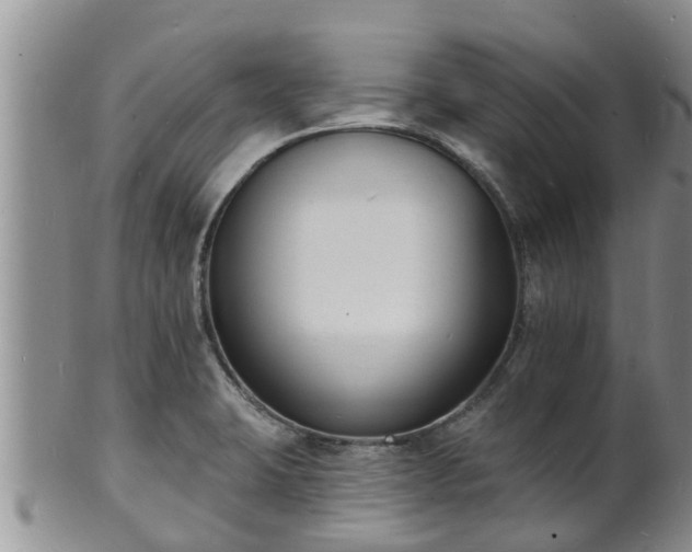 X0000102231423200808011215