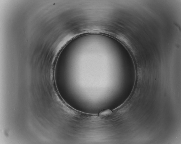 X0000102231424200808011215