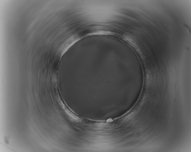 X0000102231425200808011215