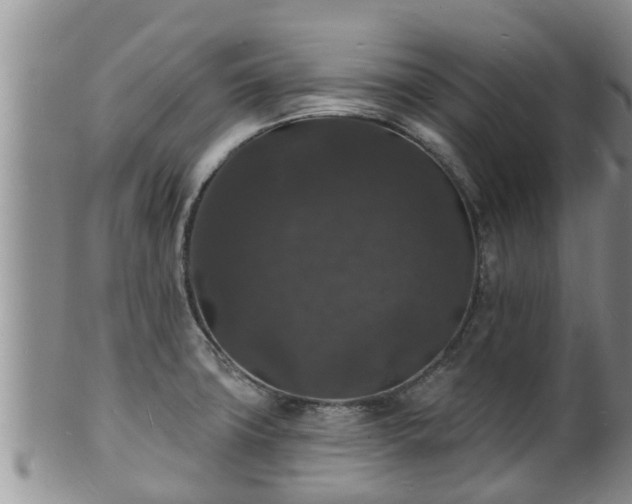 X0000102231427200808011215