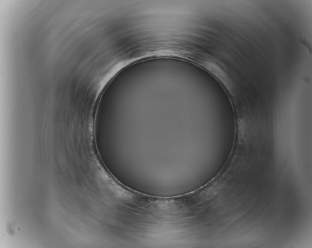 X0000102231428200808011215