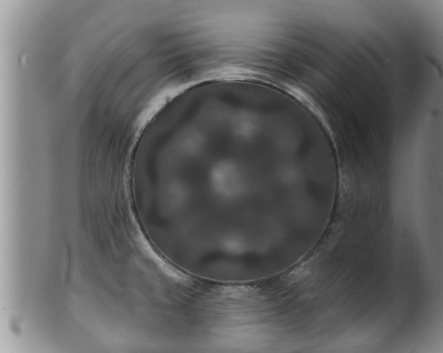 X0000102231429200808011215