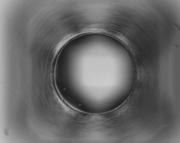 X0000102231430200808011215