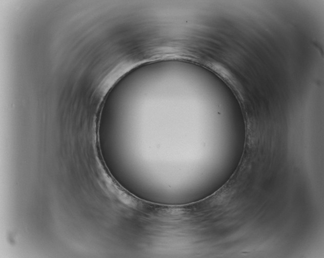 X0000102231431200808011215