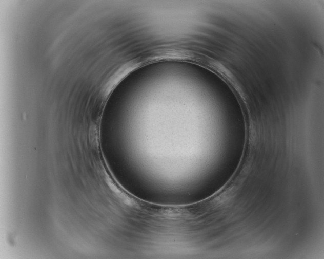 X0000102231433200808011215