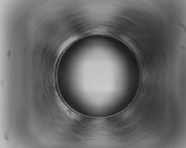 X0000102231434200808011215