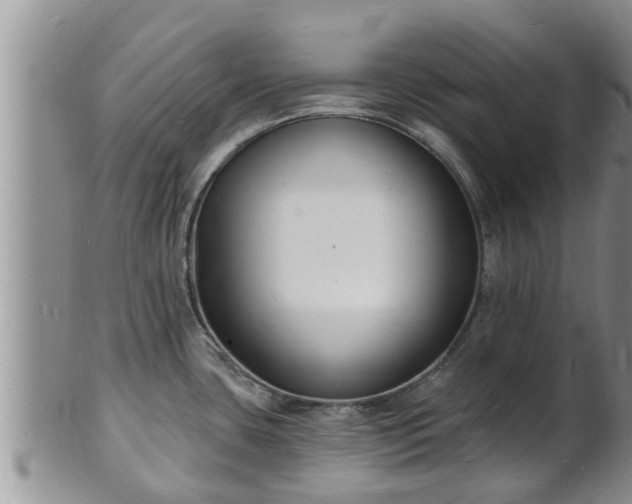 X0000102231435200808011215