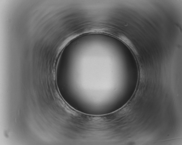 X0000102231436200808011215