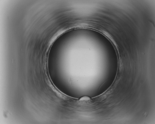 X0000102231437200808011215