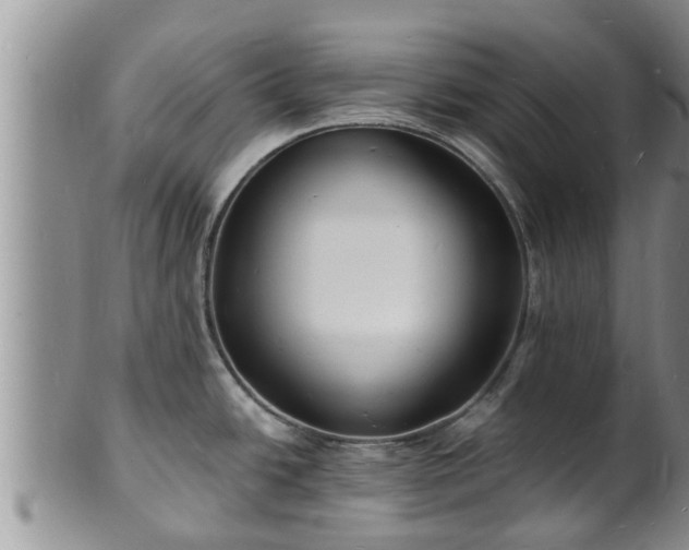 X0000102231438200808011215