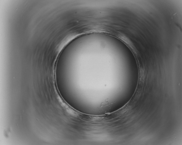 X0000102231439200808011215