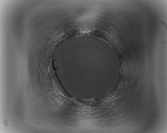 X0000102231441200808011214