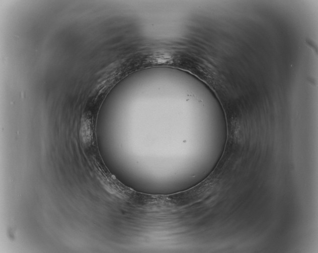 X0000102231442200808011214