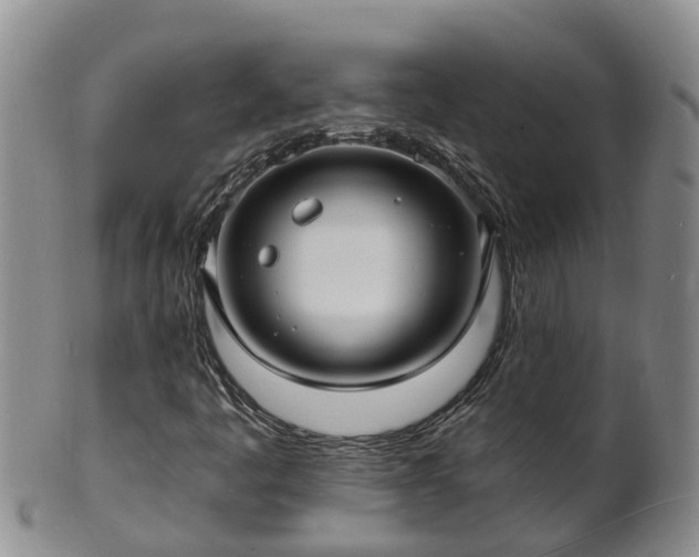 X0000102231445200808011214