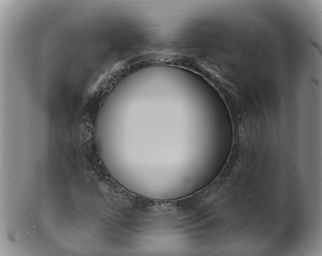 X0000102231447200808011214