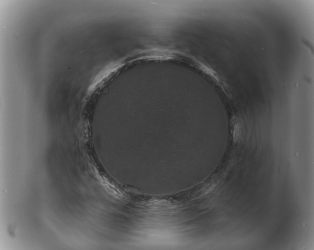 X0000102231448200808011214