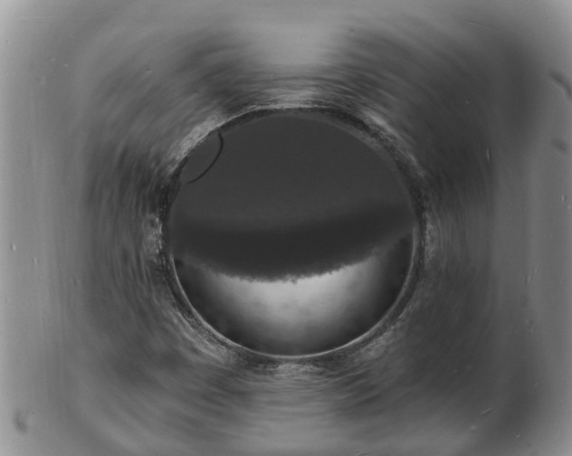 X0000102231449200808011214