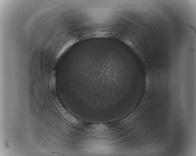X0000102231450200808011214