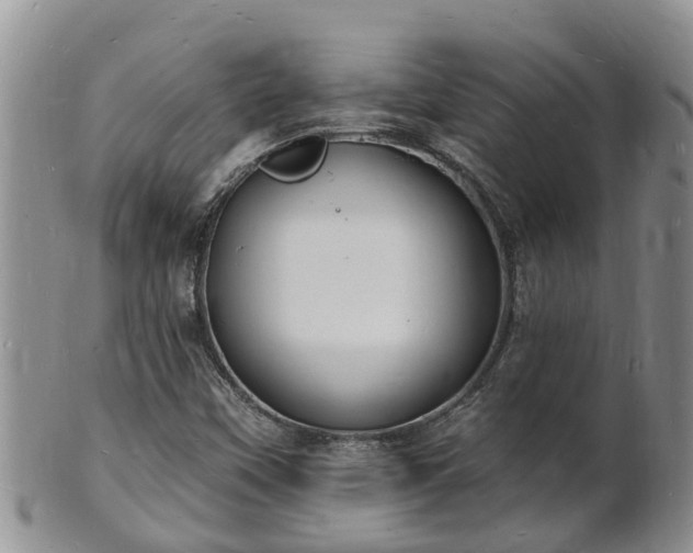 X0000102231451200808011214