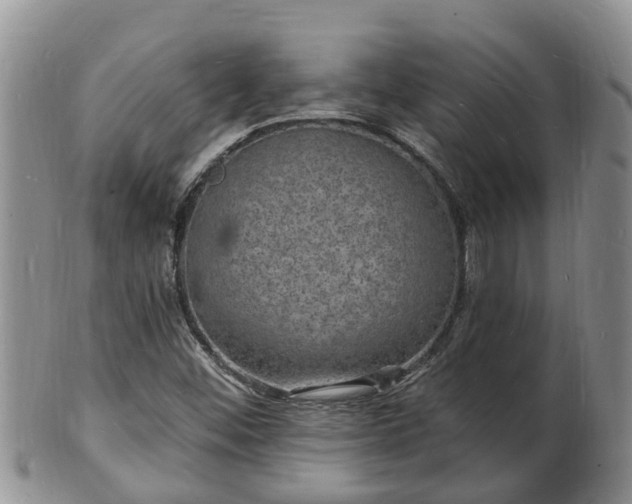 X0000102231452200808011214