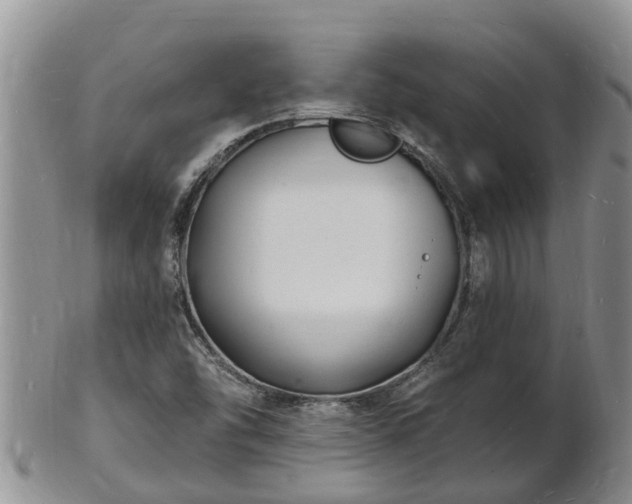 X0000102231454200808011214