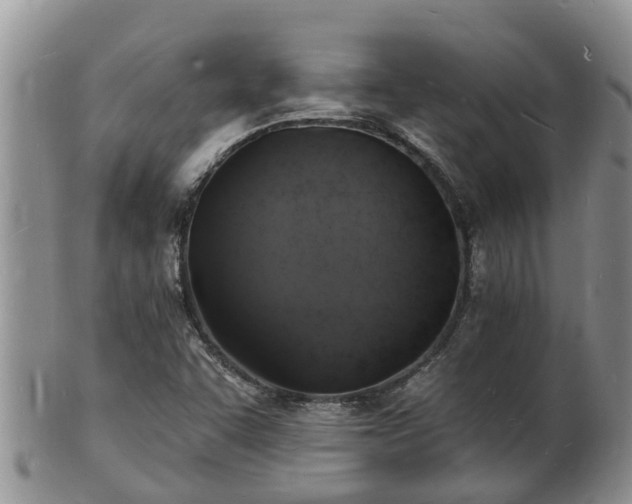 X0000102231455200808011214