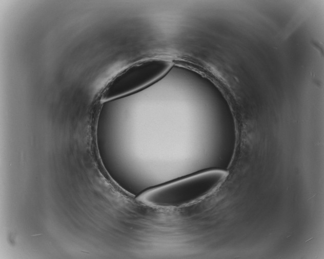 X0000102231456200808011214