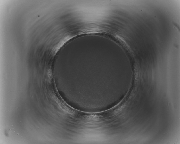 X0000102231457200808011214